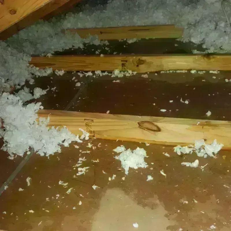 Attic Water Damage in Windsor, IL