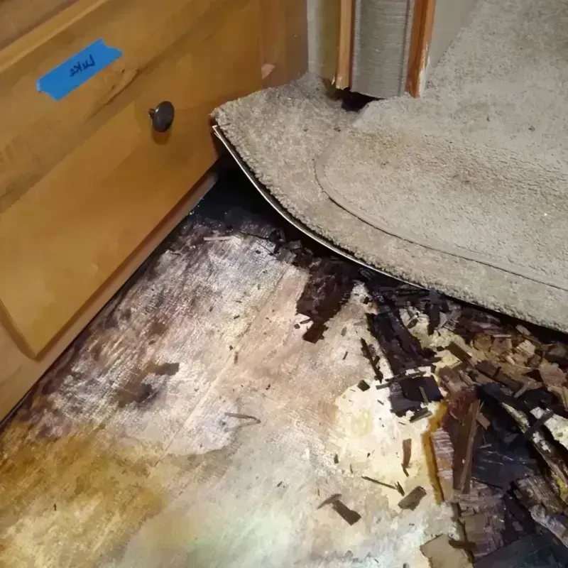 Wood Floor Water Damage in Windsor, IL